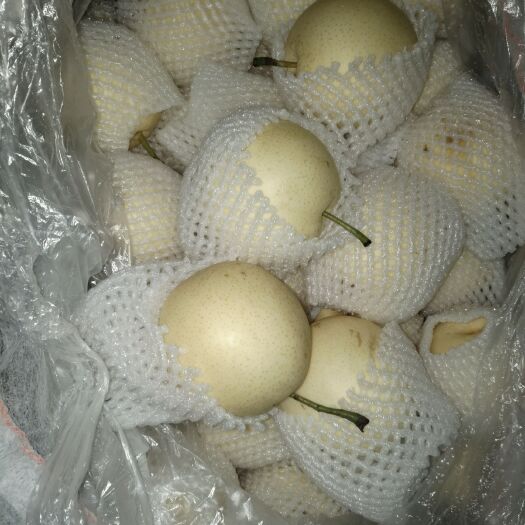 赵县皇冠梨 250-300g 85mm以上