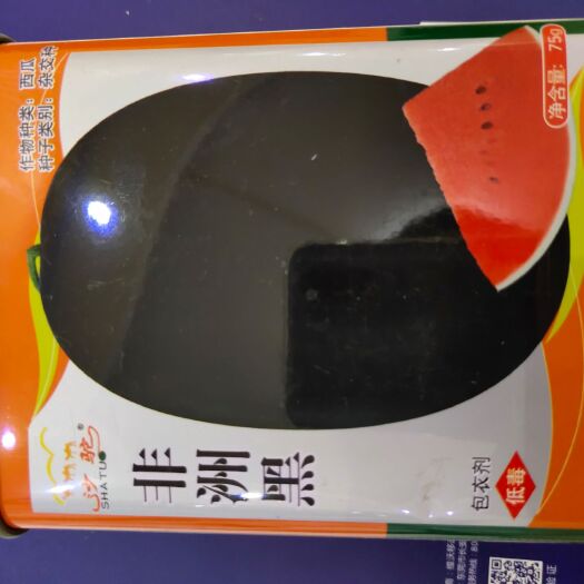 扶沟县黑皮西瓜种子  非州黑西瓜种子耐董茬皮溥耐裂果囗感甜大红肉，