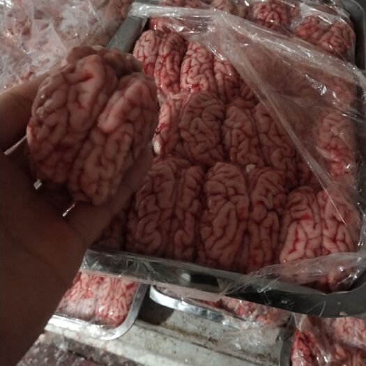 阜宁县猪脑花 