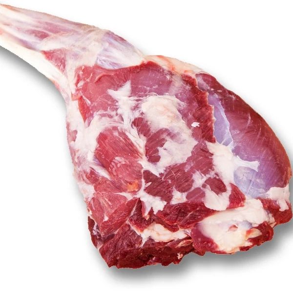 甘肃30斤以下羊