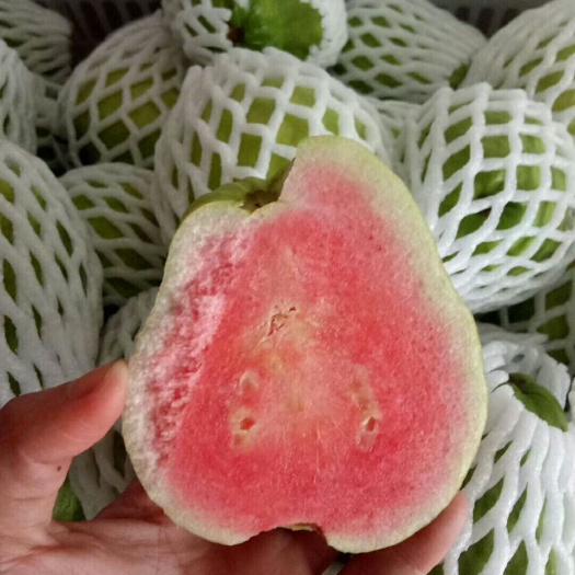 南靖县红心芭乐 红心(西瓜)芭乐是低糖，低热量，富含维c