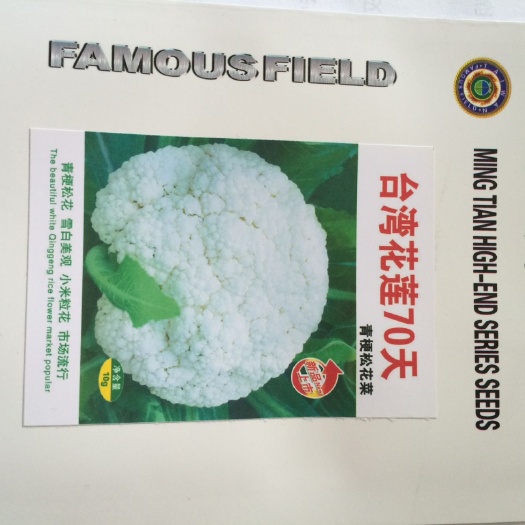 松花菜种子 花莲70天雪花美观小米粒花有机花菜绿梗白面