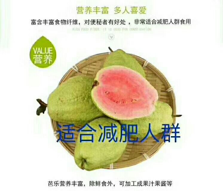 红心芭乐 红心(西瓜)芭乐是低糖，低热量，富含维c