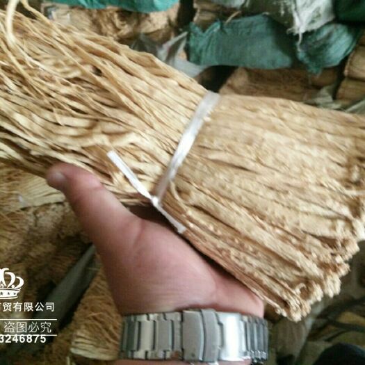 陇西县白条党参