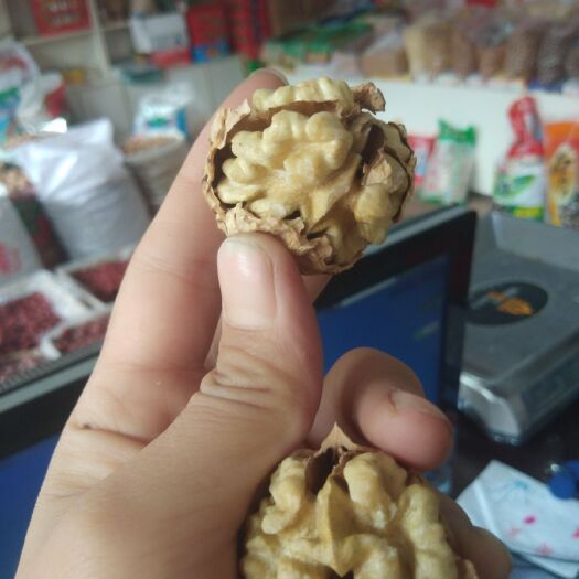中牟县麻核桃  云南核桃，纯白仁