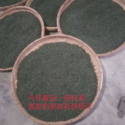 桃林绿茶 袋装 一级 