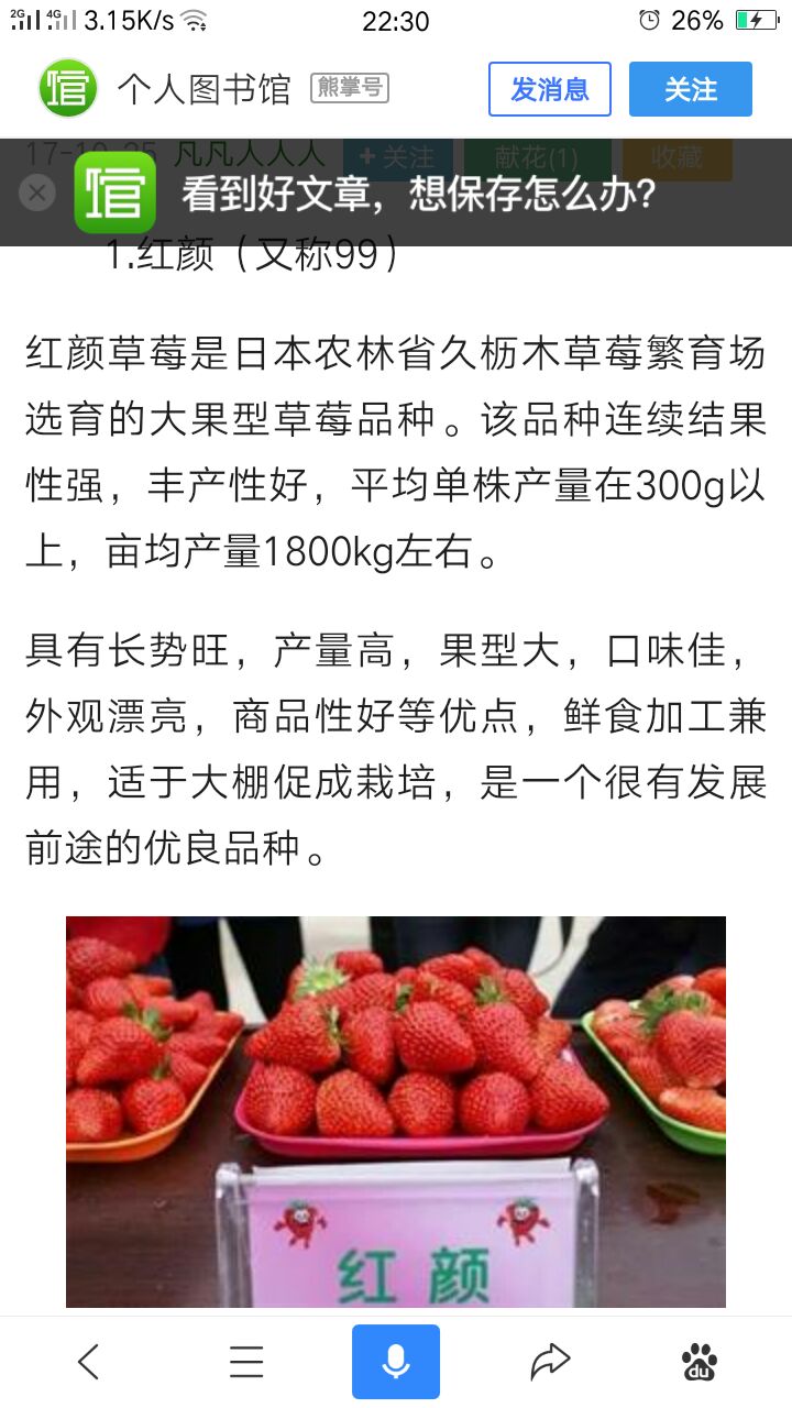 红颜草莓苗   天仙醉 醉侠 妙三 贵妃 久香 玫瑰香草莓苗