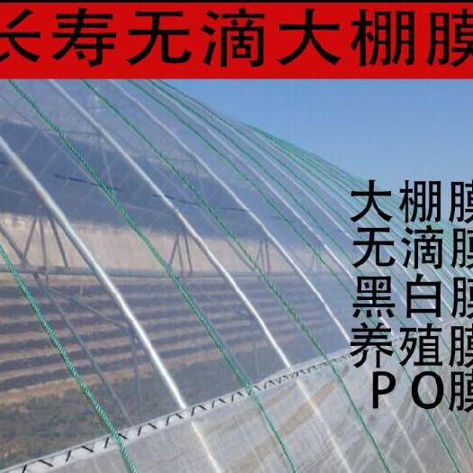 郯城县棚膜