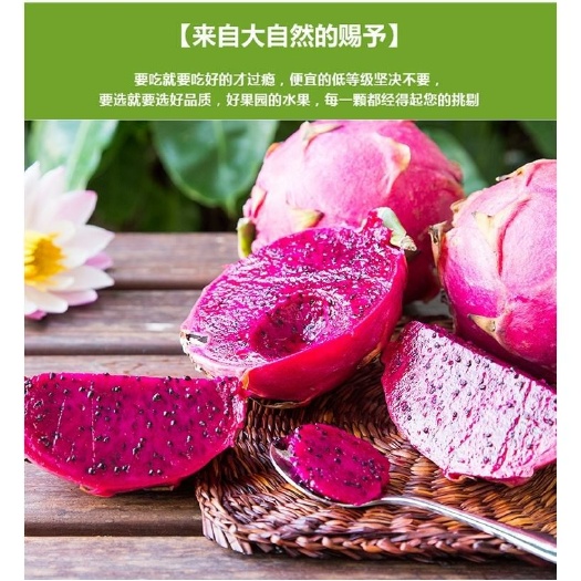 上林县越南红心火龙果 大（7两以上） 中大果，五斤5-8个
