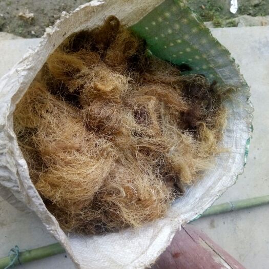 略阳县略阳玉米须中药材天然加工无硫磺陕西汉中地道草本材料批发零售