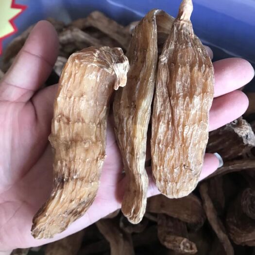 抚松县天麻粉