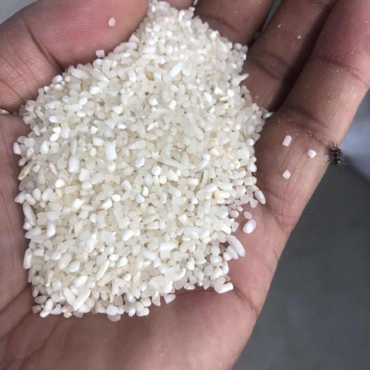 凤阳县碎米 一等品 晚稻 籼米 