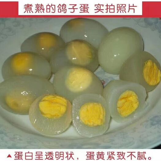 确山县自家养殖新鲜鸽子蛋（包邮不新鲜包退破损包赔）三十枚/盒