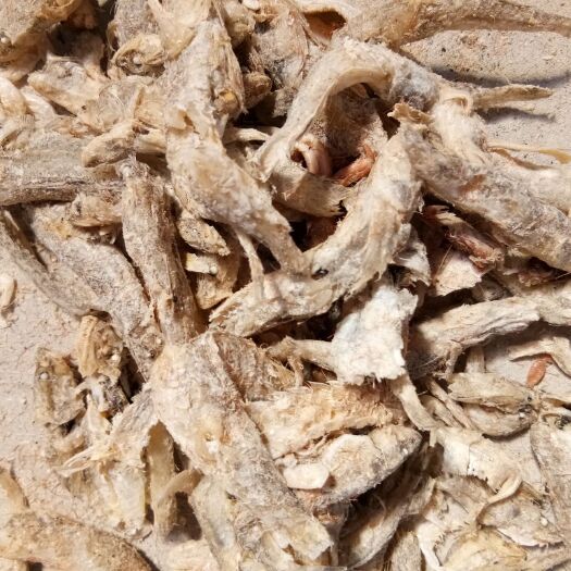 滨州现有大量海鱼干，干度好，蛋白高，盐分低！