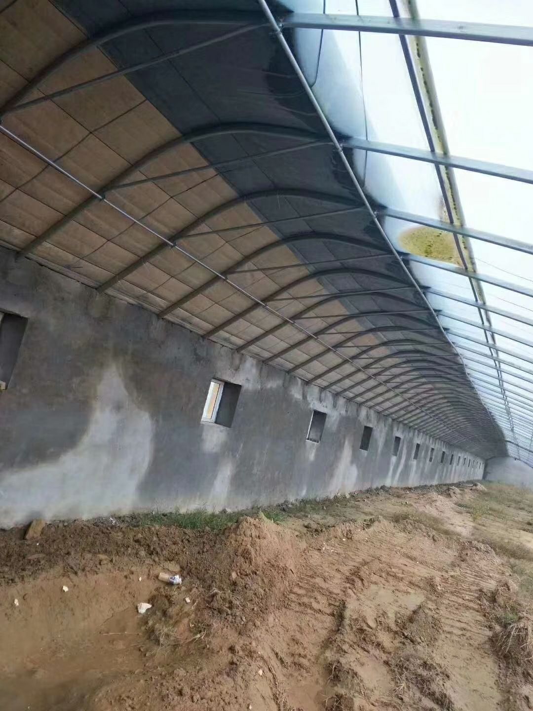 单体棚 
