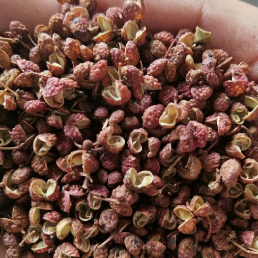 枣庄山东花椒 干花椒 特级 