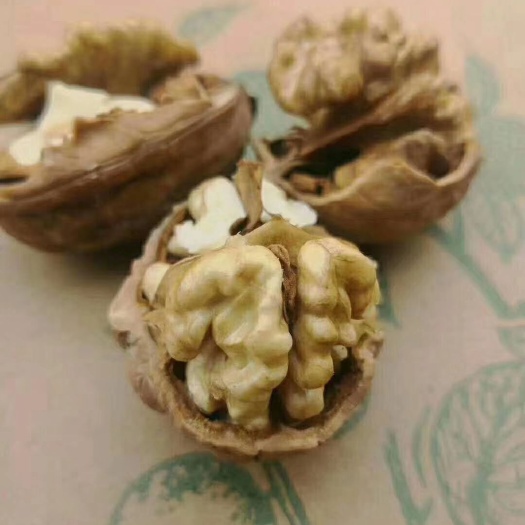 枣庄薄皮核桃