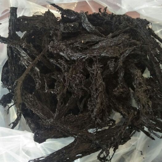 霞浦县霞浦紫菜