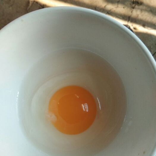 浚县土鸡蛋 食用 简包装