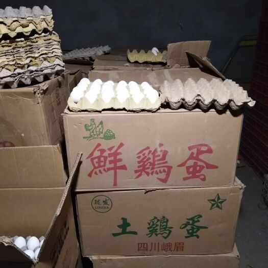 巨野县海兰白鸡蛋 散装 食用