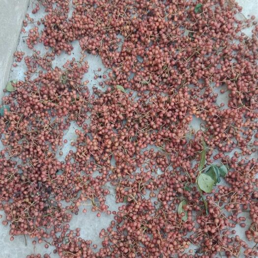 芮城县大红袍花椒 干花椒 二级