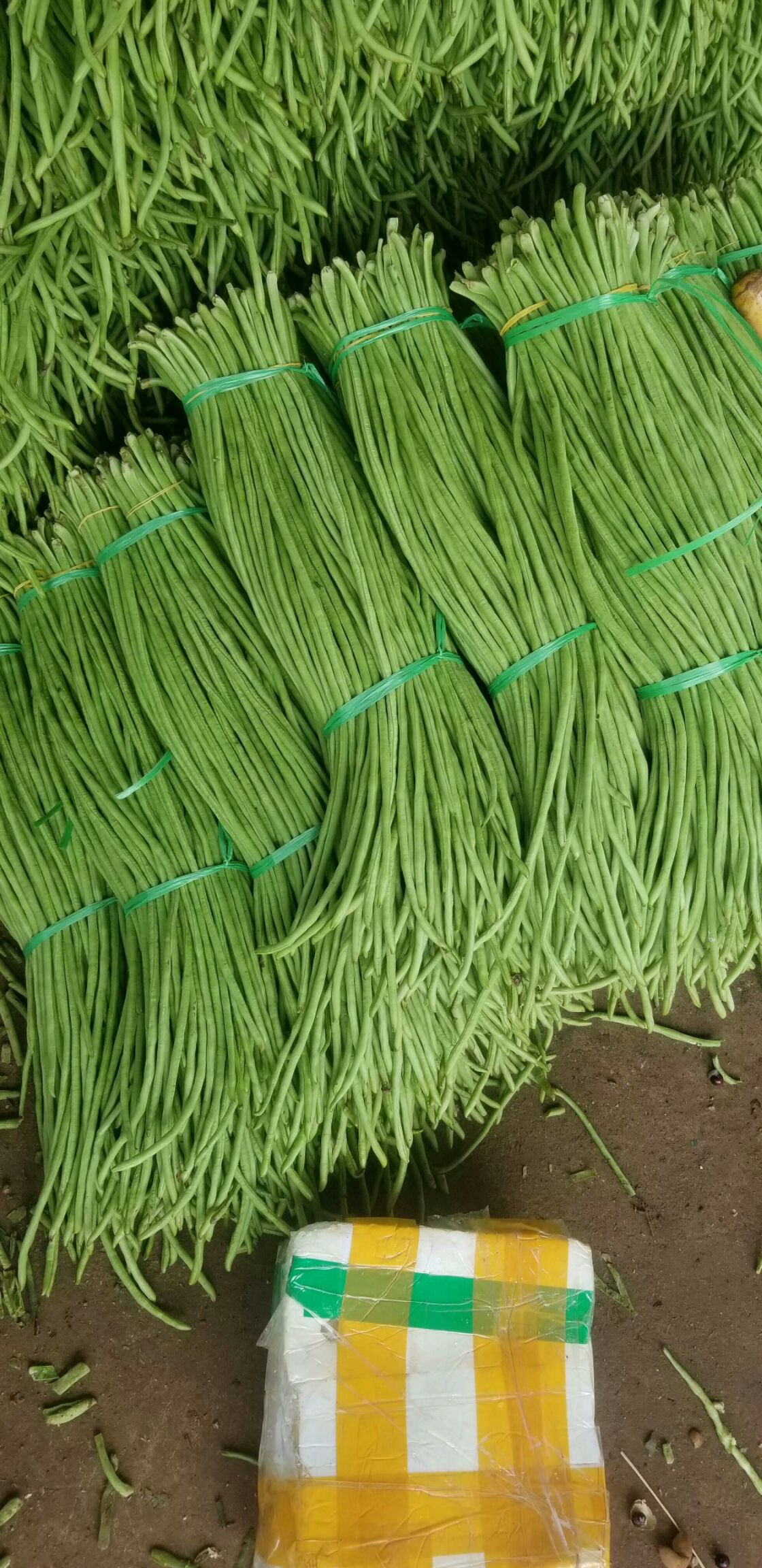 长豇豆 50cm以上 打冷