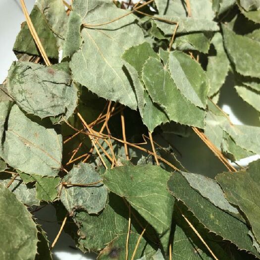 十堰淫羊藿 