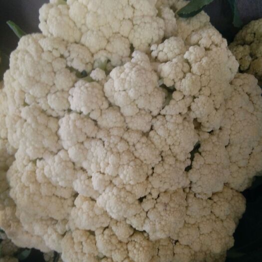 开封有机花菜 2~3斤 松散