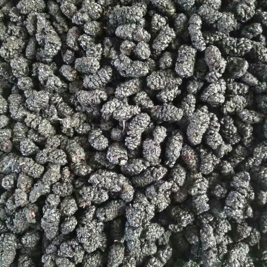 德昌县德昌桑葚 3 - 4cm