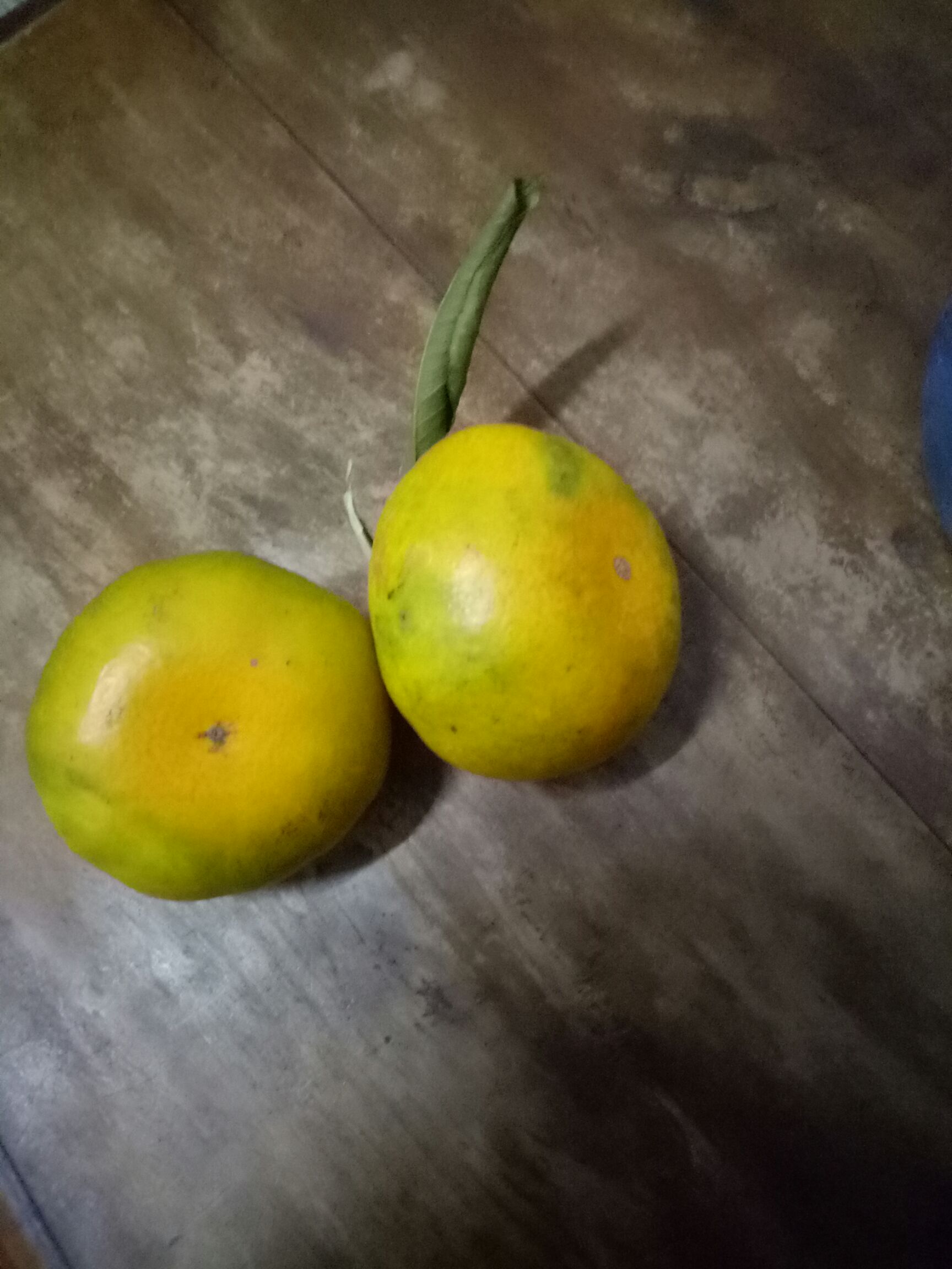 特早蜜桔 5.5 - 6cm 2 - 3两