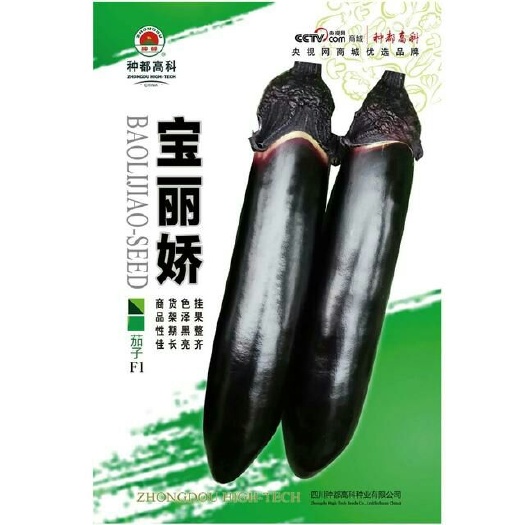 成都中棒型墨茄种子/种都高科