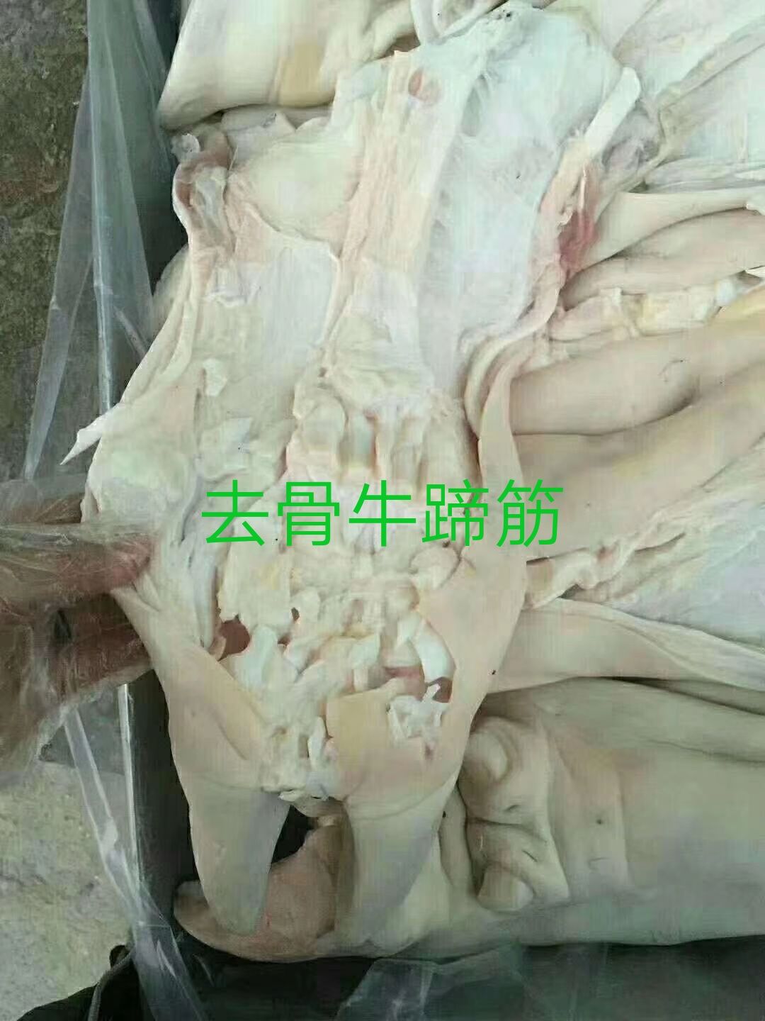 阳信县牛蹄  水腿毛半去骨牛蹄，质量不错，工厂直销，价格低牛