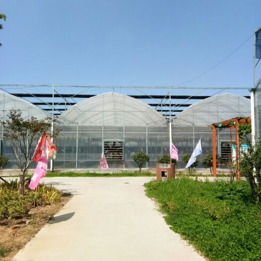 青州市连栋棚