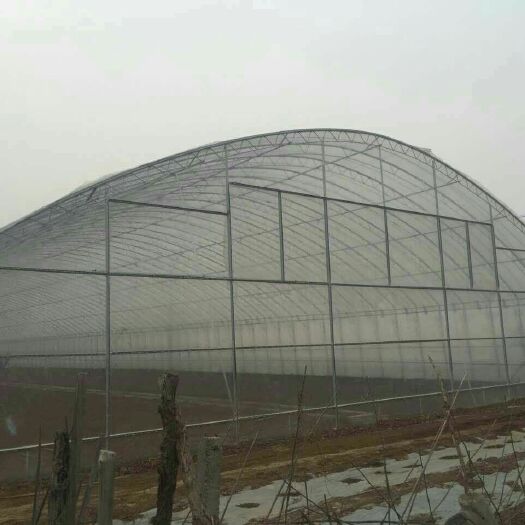 寿光市钢管大棚