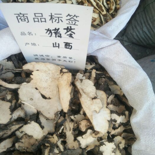 猪苓