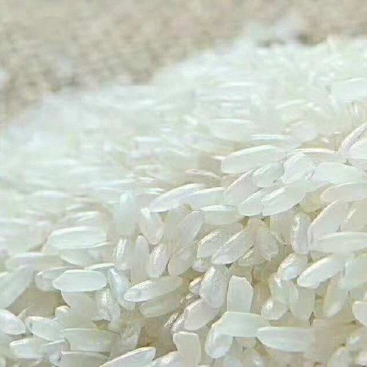 舒兰市东北大米 绿色食品 晚稻 一等品