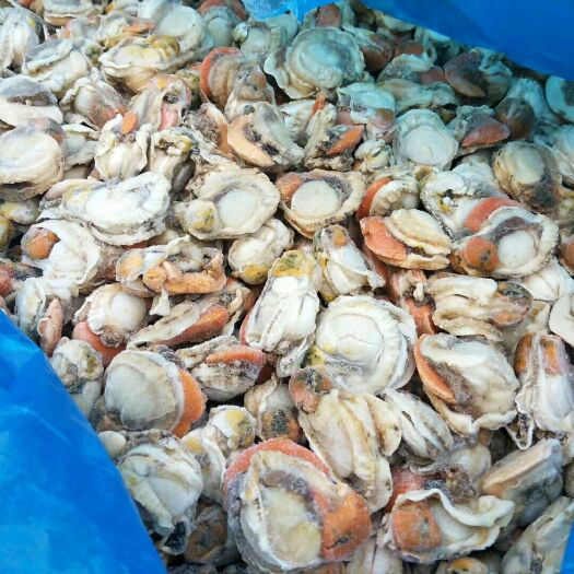 济南深海海鲜 