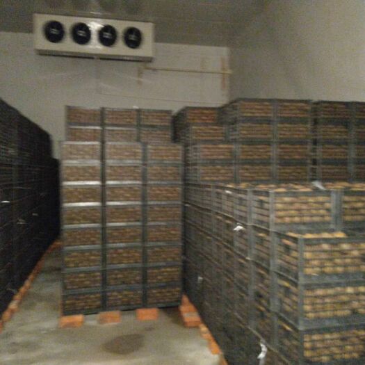 武功县塑料筐