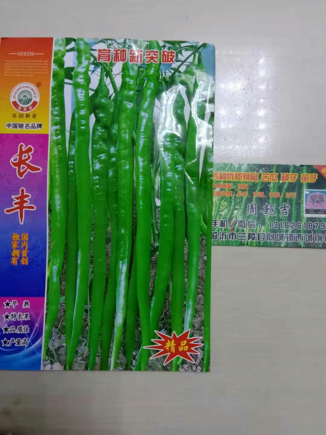 线椒种子 97%以上 良种