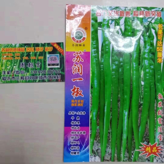 兰陵县线椒种子 优质辣椒种