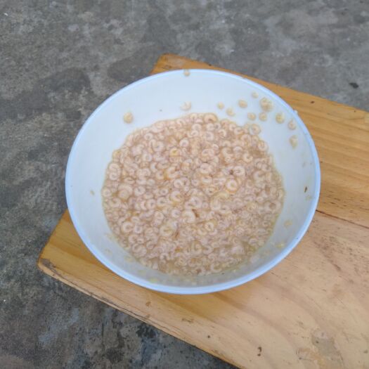 镇江意蜂蛹 