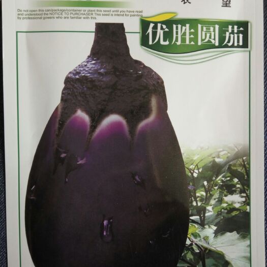 沭阳县茄子种子 常规种 ≥95% 紫圆茄种子