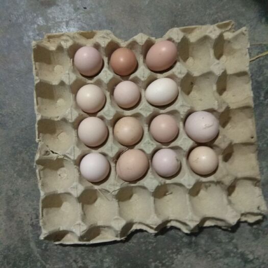 仙桃土鸡蛋 食用 散装