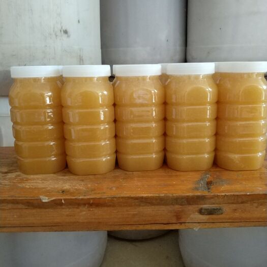 平南县百花蜜  2年 塑料瓶装