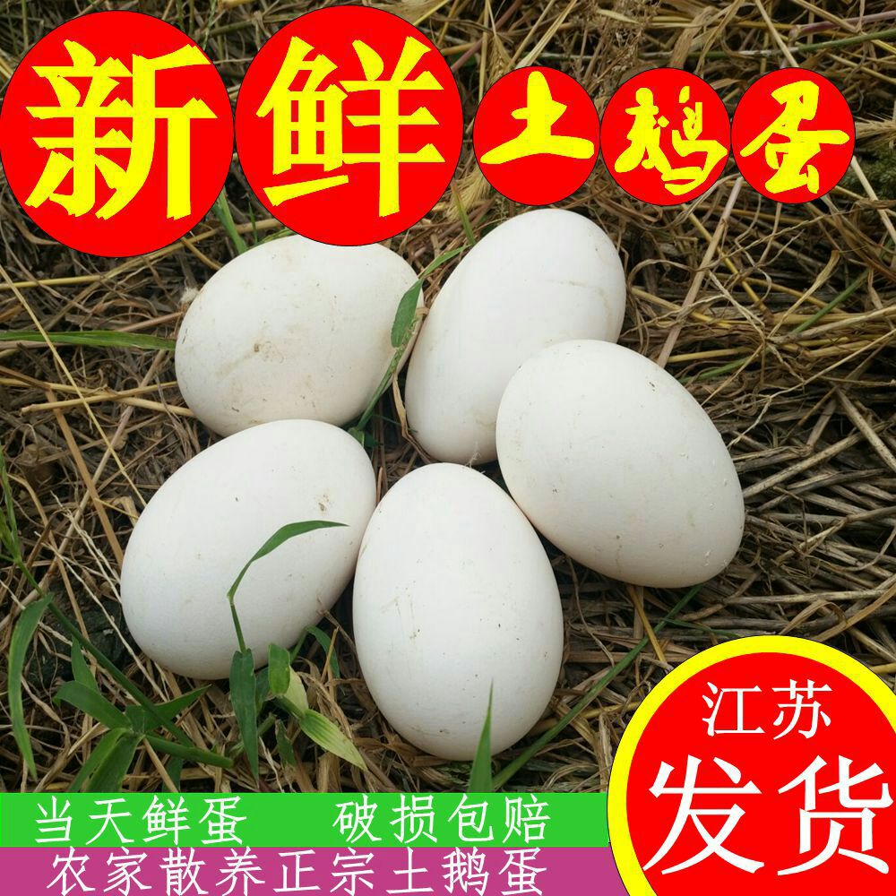 沭阳县土鹅蛋  新鲜鹅蛋初生小鹅蛋，初生小鹅蛋80-100克，量大