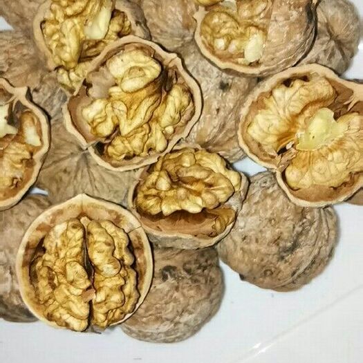曲阜市薄皮核桃 