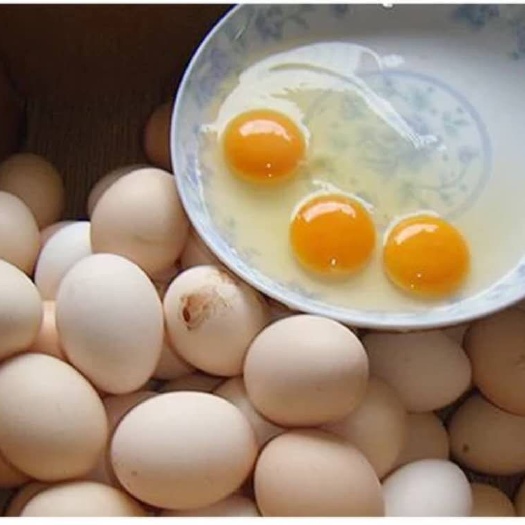 蒙山县土鸡种蛋 食用 简包装
