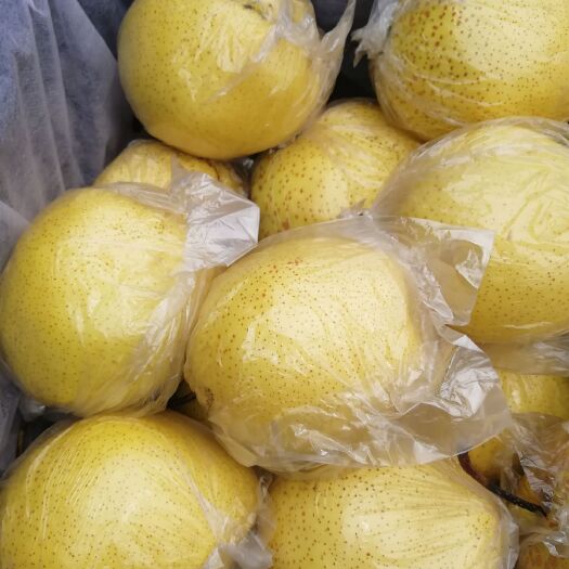 遵化市雪花梨 300-350g 75mm以上