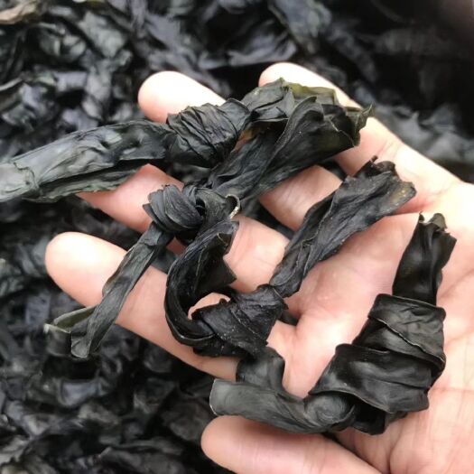 霞浦县霞浦海带