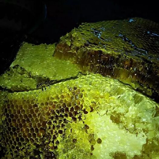 印江县土蜂蜜 塑料瓶装  1年